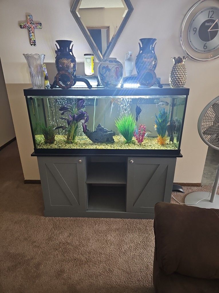 Fish Tank