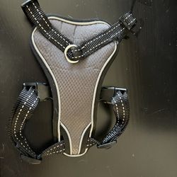 Dog Harness 