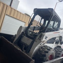 Bobcat 
