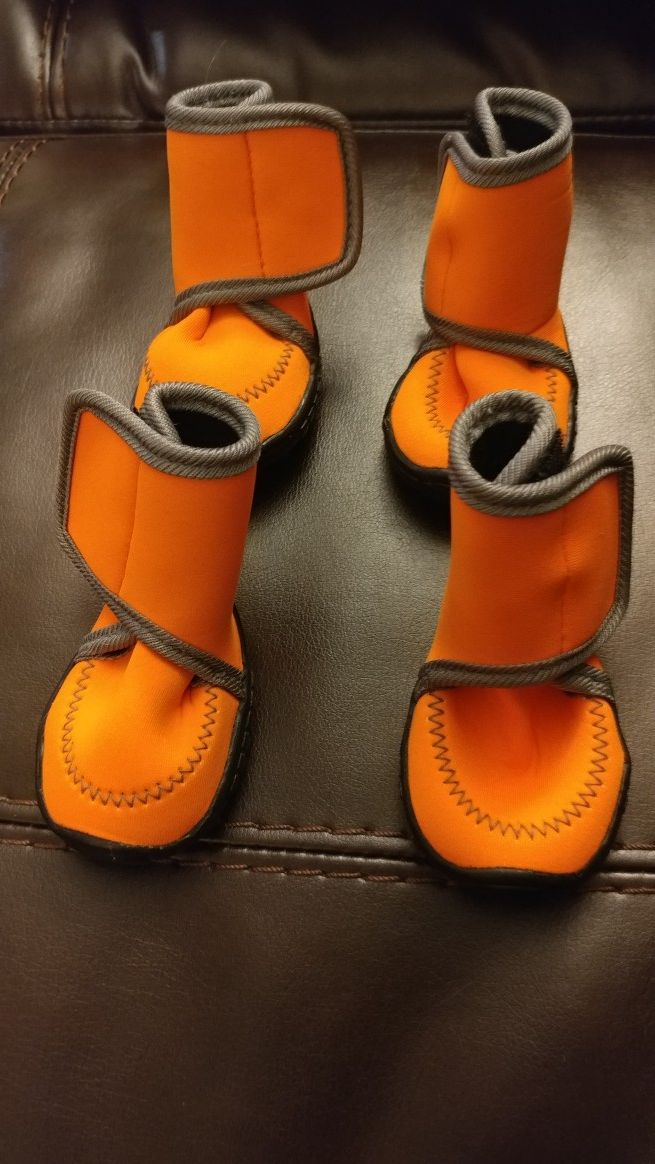 Dog shoes