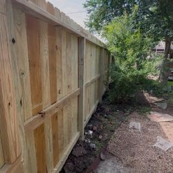 Wood fence 