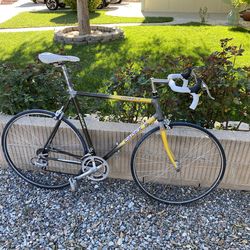 GIANT CADEX CARBON 2