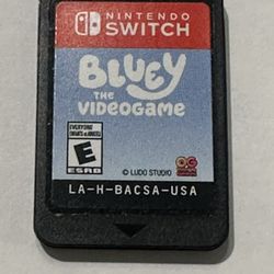 Nintendo Switch Bluey Game $25