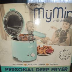 Mini Personal Deep Fryer