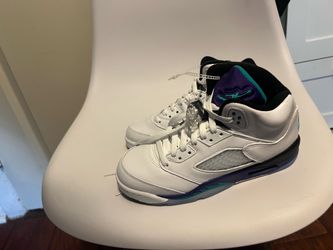 Retro 5 Jordan’s  Grape 5s