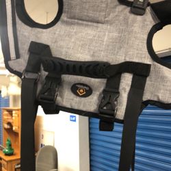 Almost brand new for your puppy