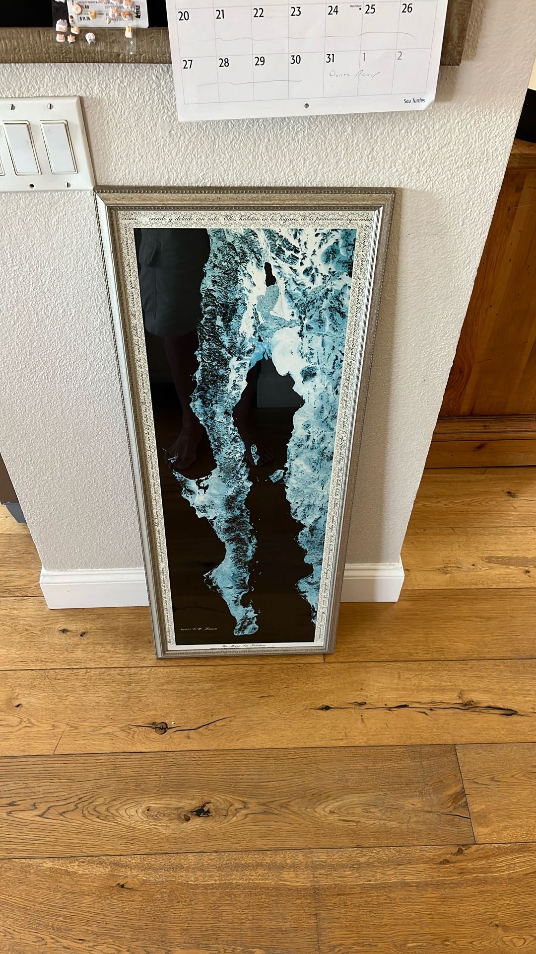 Framed Satellite Image of Baja California