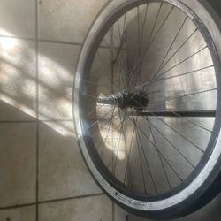 Beach Cruiser Bicycle Rim And Tire 