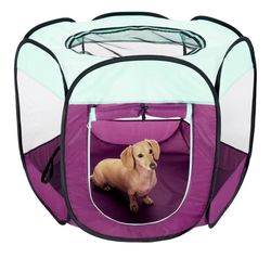 Dog Pen