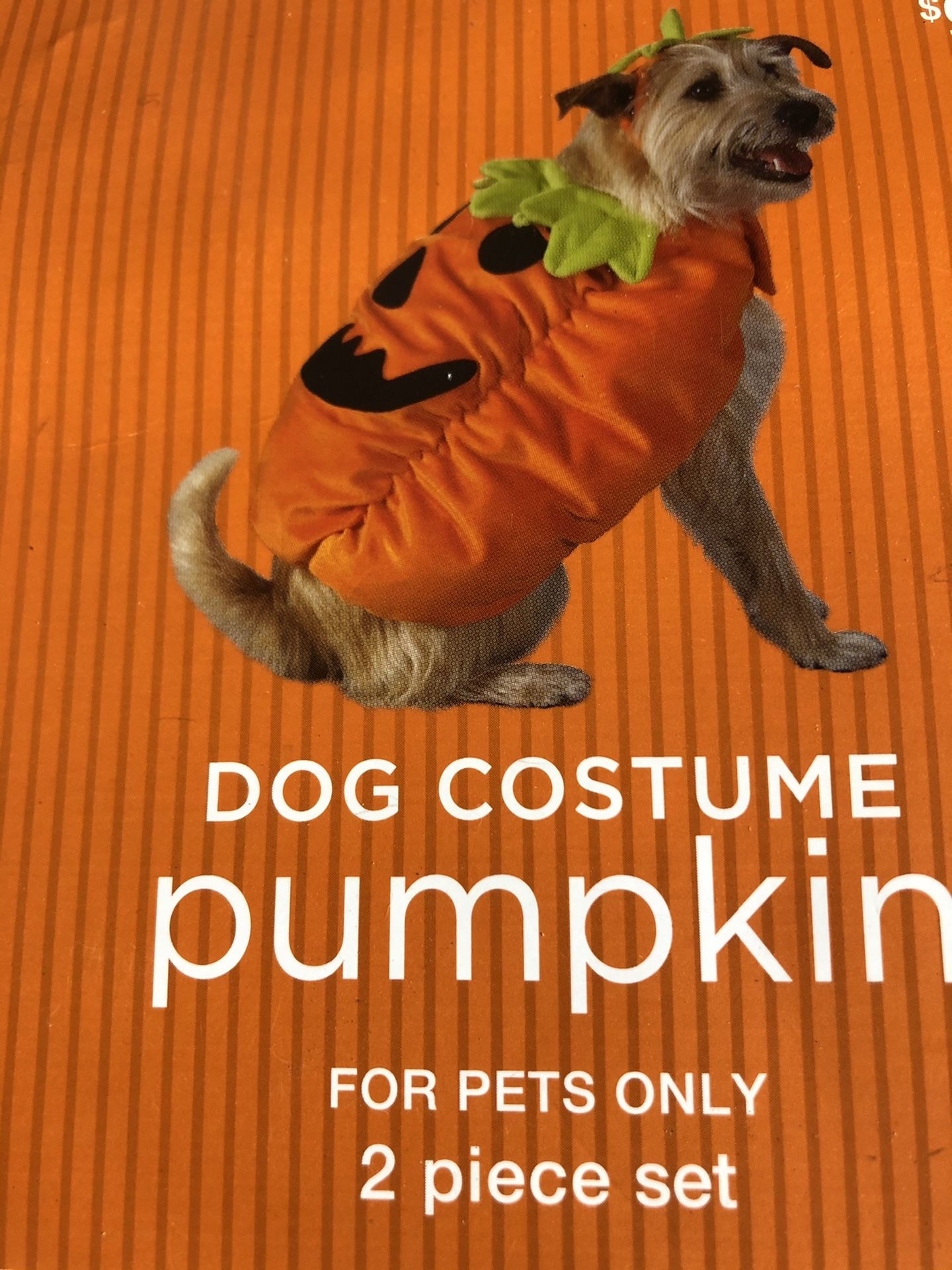 Dog Halloween costume xtra small
