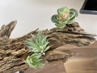Modern Decor Statement Piece