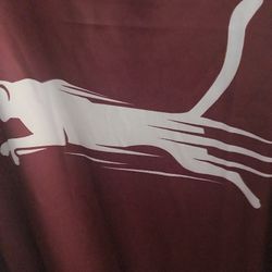 Men's Burgundy Graphic Shirt X Large
