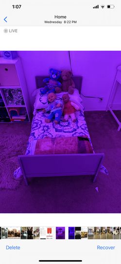 Toddler Bed