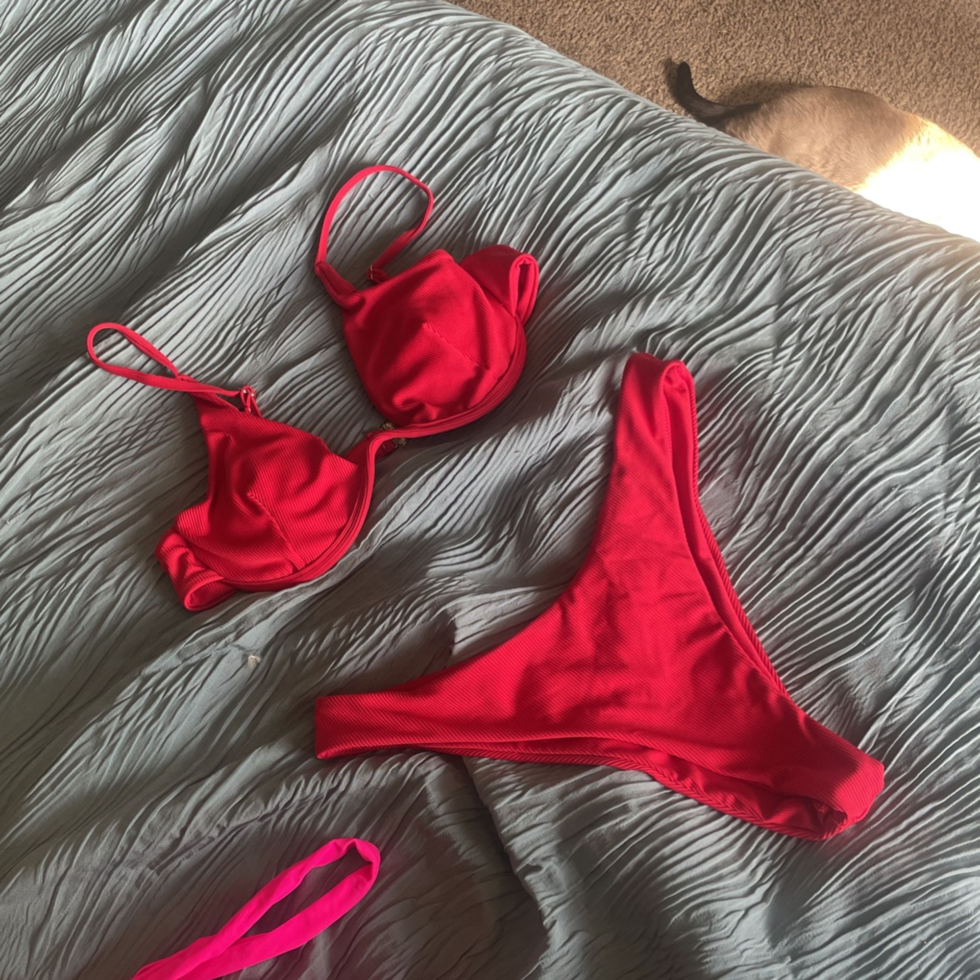 Bikini