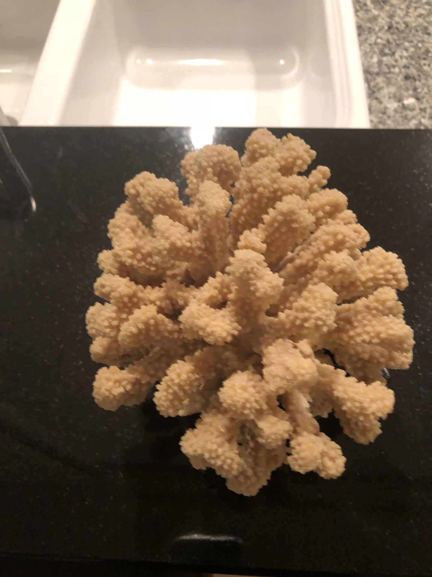 Coral on a black base