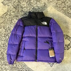The North Face  1996 Retreo Nuptse 700 Down Jacket