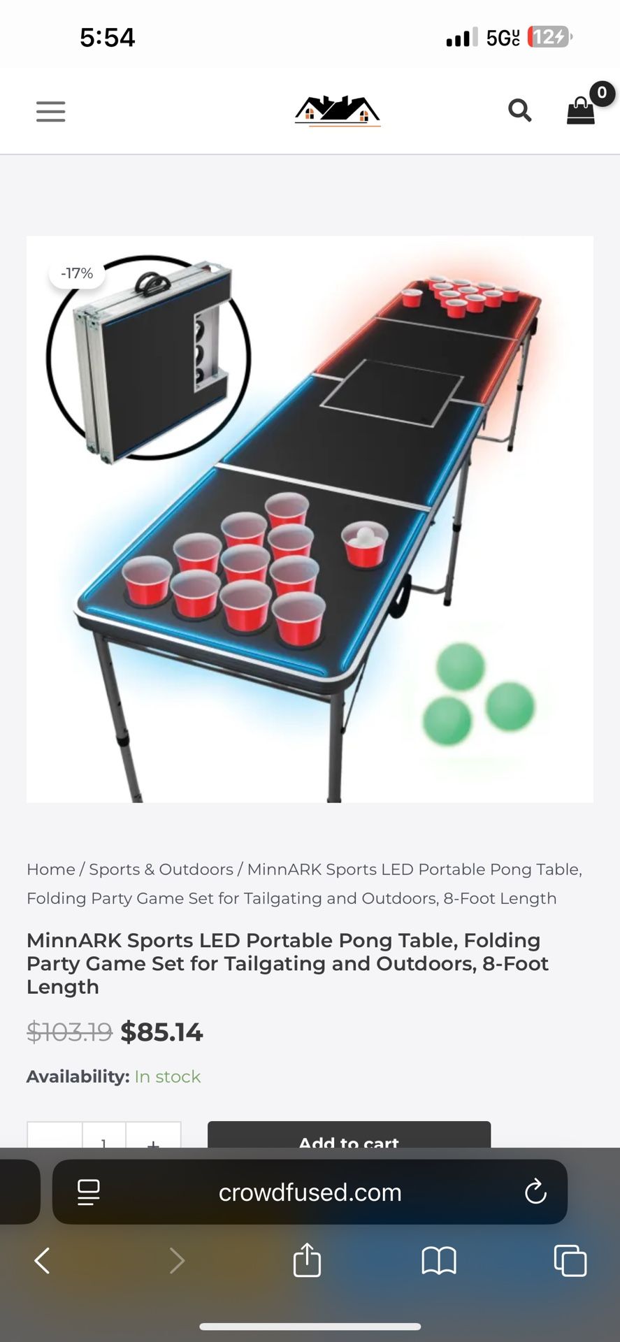 Beer Pong Table 
