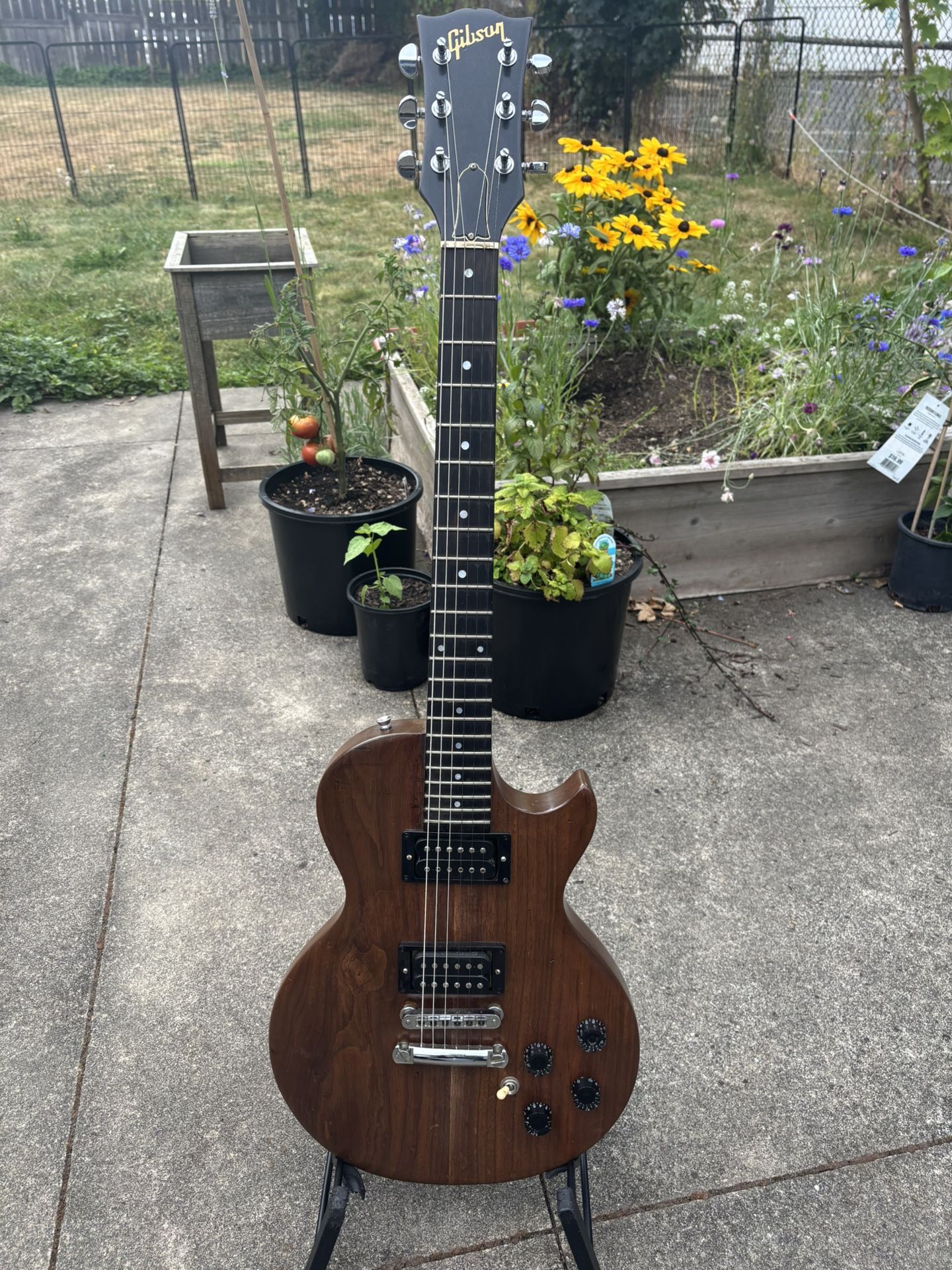 1981 Gibson Les Paul