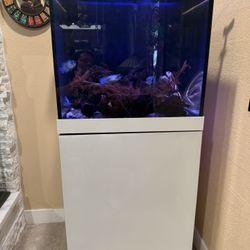 60 Gallon Pro Clear Rimless Freshwater Aquarium Setup - Stand, Sump, Lights, Heater, Bio Media
