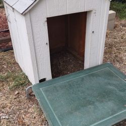 Dog House And Dog Cot