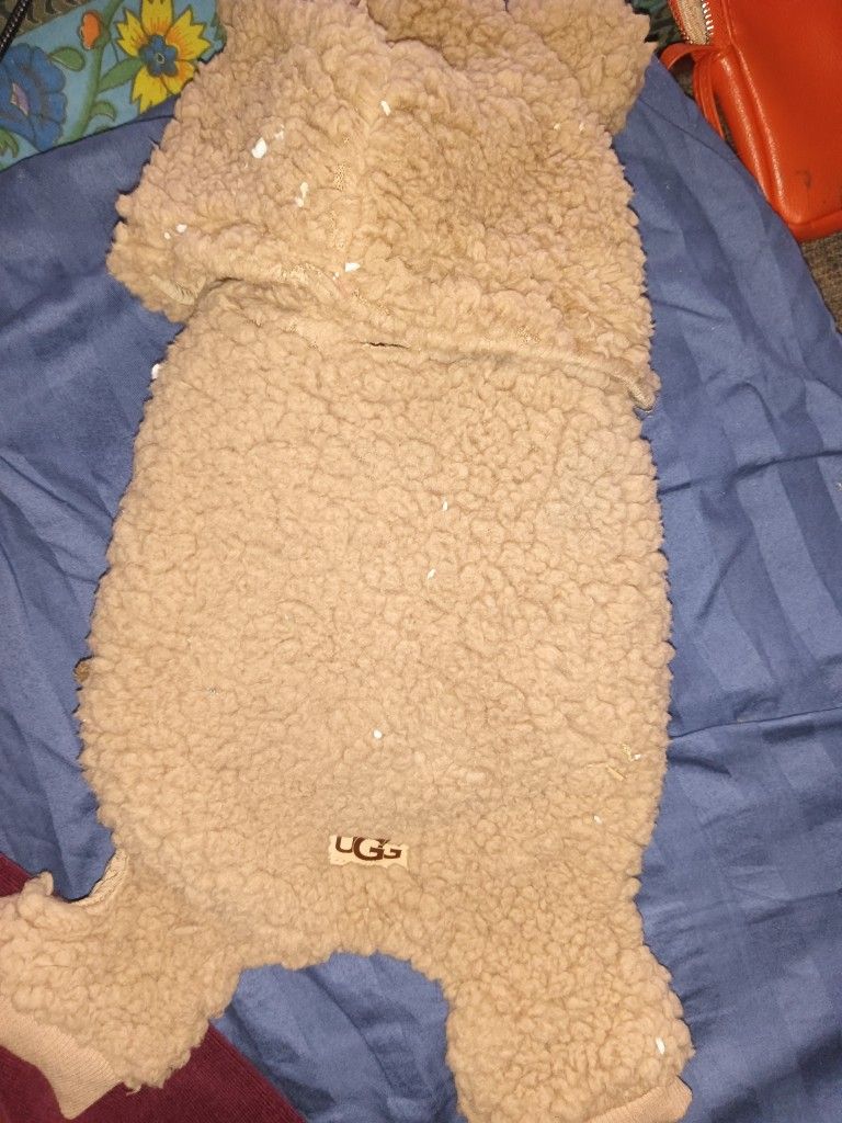 UGG dog Outfit