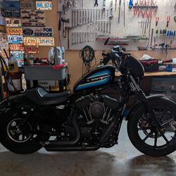 2019 Harley Sportster 1200