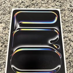 iPad Pro 13in M4 (WiFi/Cellular)