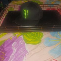 Not That Monster Hat