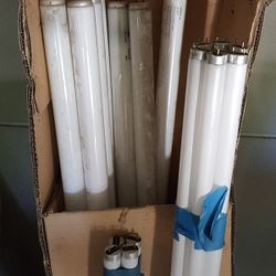 Fluorescent Bulbs