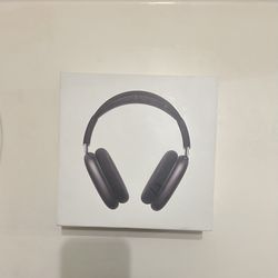 Air Pod Pro Max