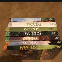 Weeds Seasons 1 - 8