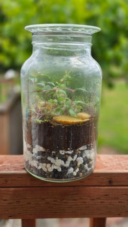 Terrarium