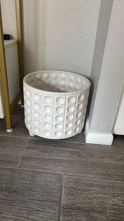 Two plants stand
