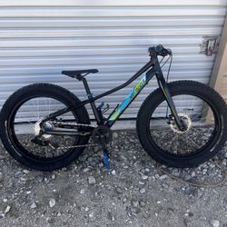 Specialized Medium Aluminum Frame Fat Boy 24