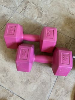 10 Pound Dumbells