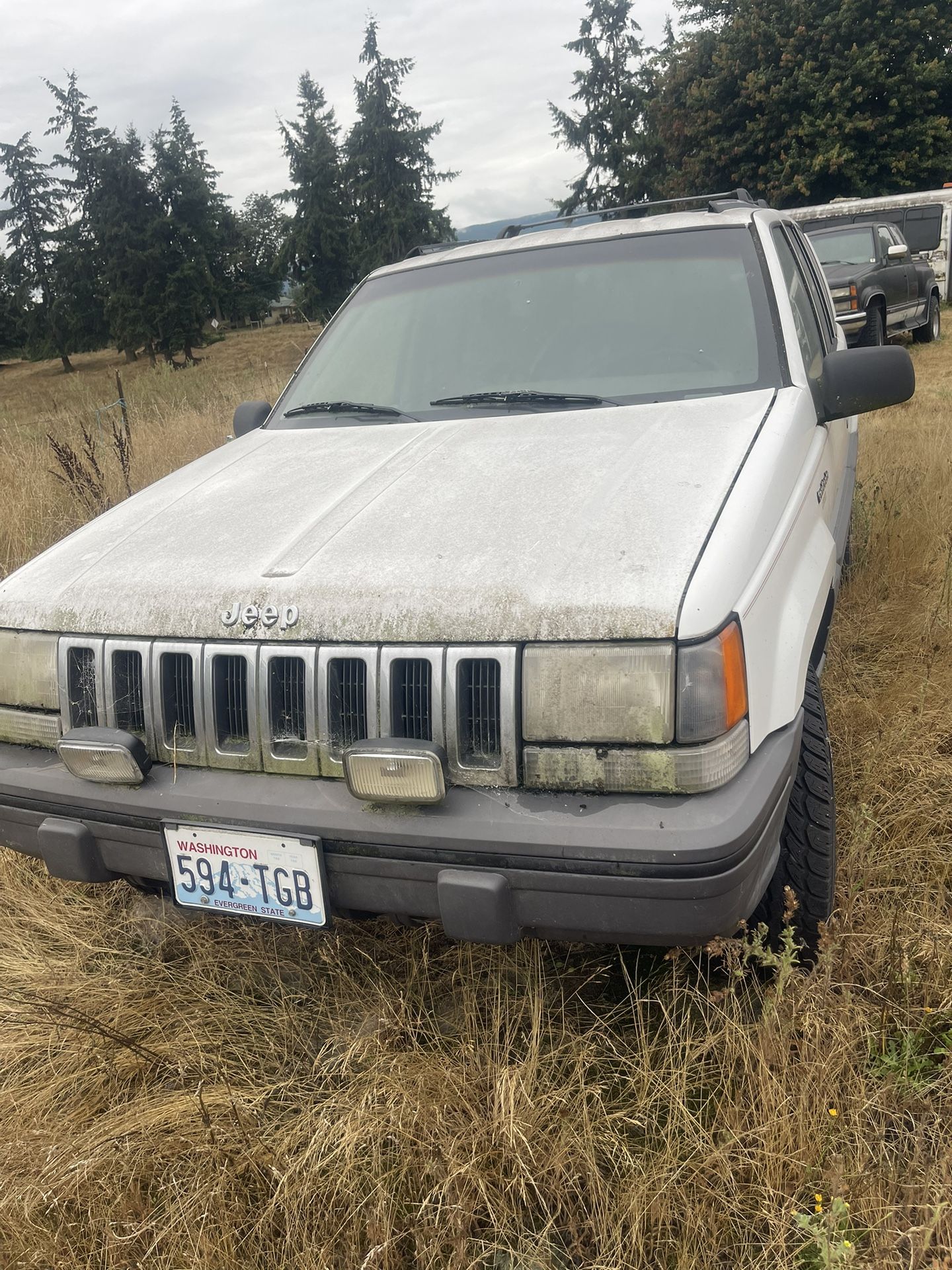 1994 Jeep Grand Cherokee