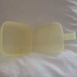 Tupperware Forget Me Not Cheese Keeper