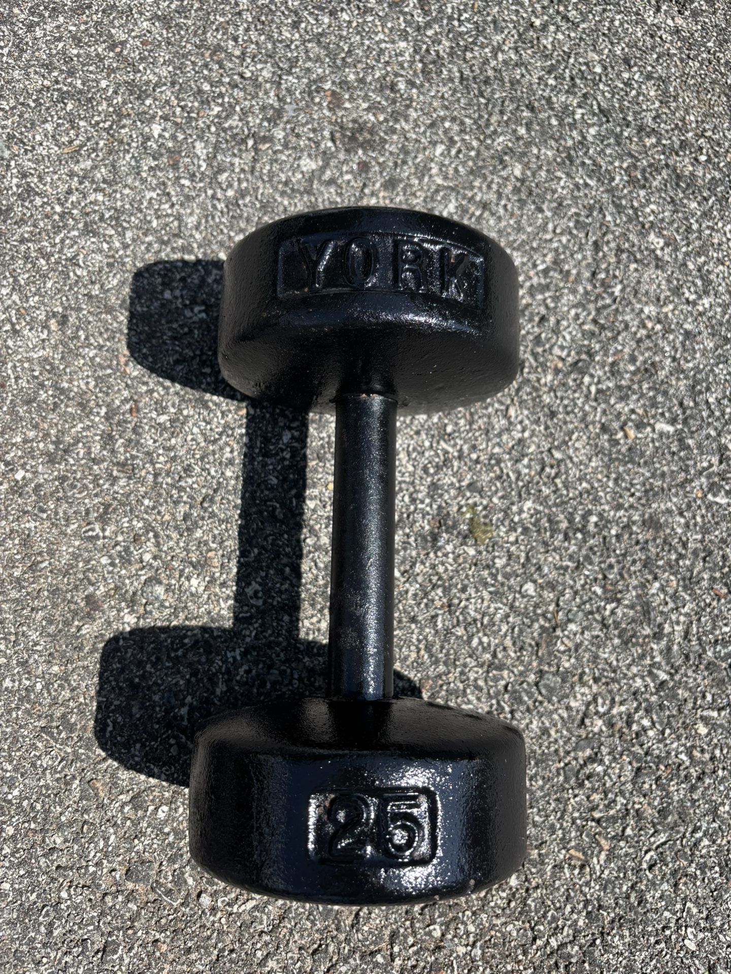 25lbs York Dumbbell