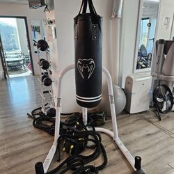 Pushing Bag With Stand 