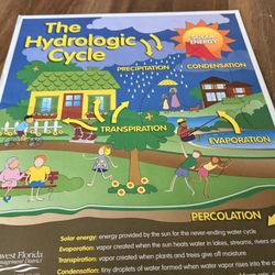 Hydrologic Cycle Classroom Poster
