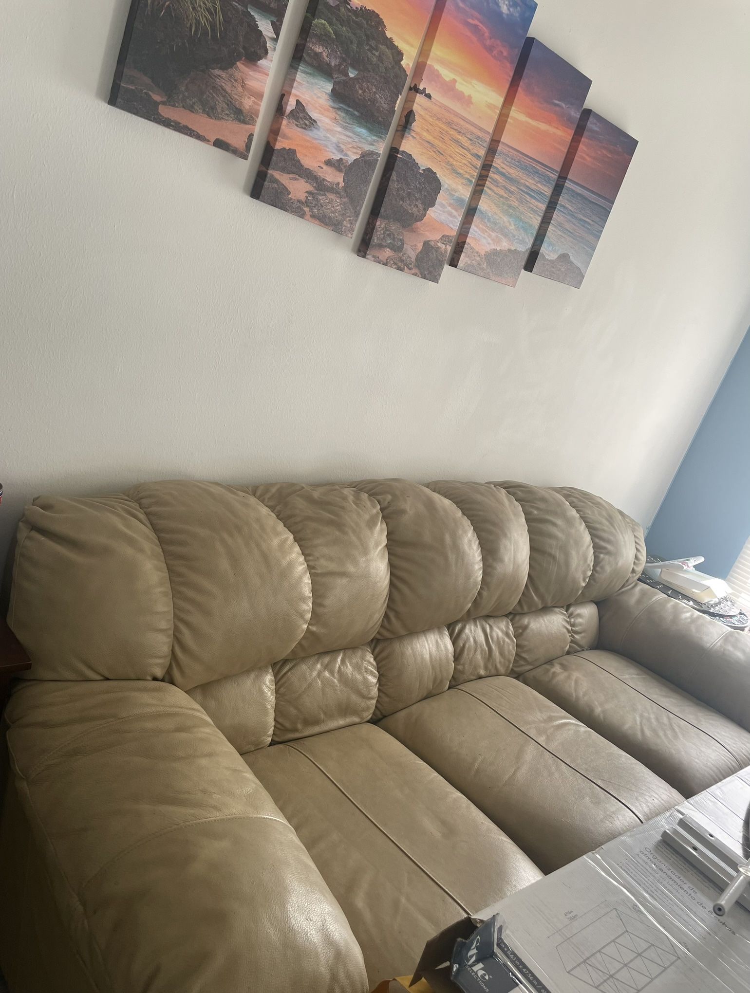 Beige Leather Couch
