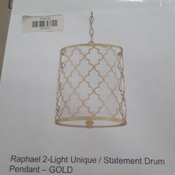 Pendant 2 Light  Unique GOLD  BRAND NEW 
