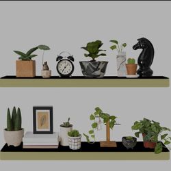 WCKOMA Glow In Dark Floating Shelves 2 Pack 24 Inch, Modern Wall Shelves For Living Room, Kitchen, Bedroom, Bathroom, Office, Display Storage, 2 Black