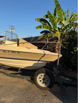 BAYLINER
