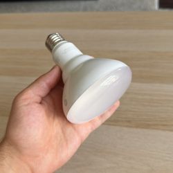 Grow Light Bulb