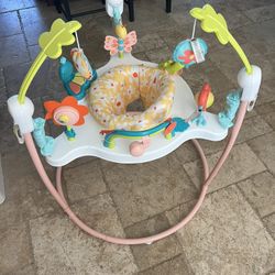 Fisher Price Bouncer 