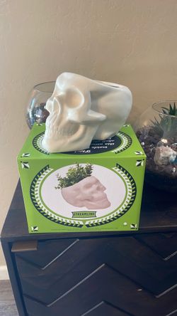 Skull planter