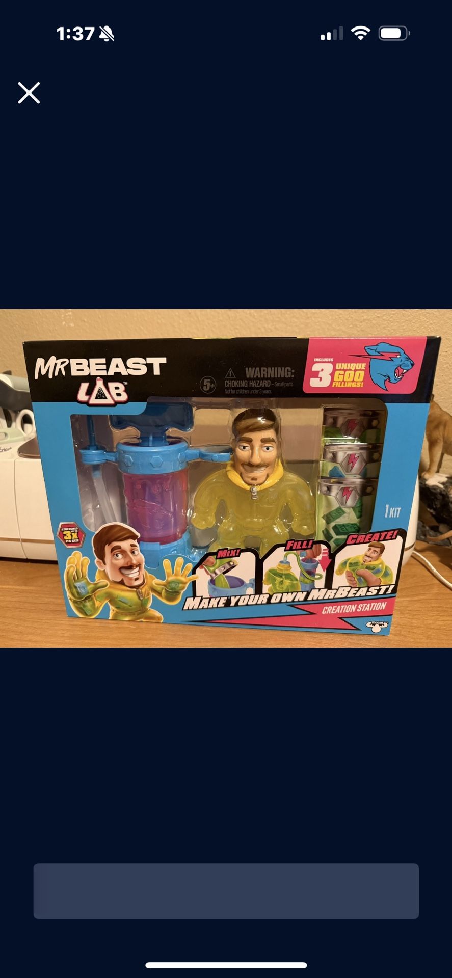 Create Your Own Mr. Beast