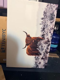 Highland Cow Wall Art Canvas 36x24