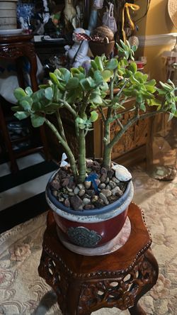 Ripple Jade